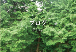 ブログ